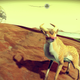 Illustration for article titled First day of No Mans Sky in screenshots (on PC)